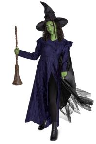 Elphaba Movie 2 Adult Deluxe