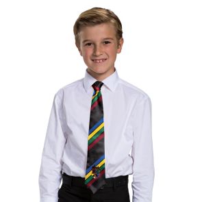Hogwarts All House Tie