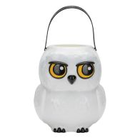 Harry Potter Hedwig Treat Pail