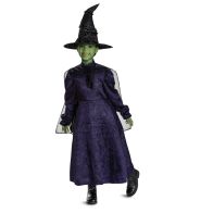 Elphaba Dress Adaptive Costume